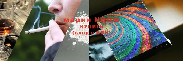индика Нягань