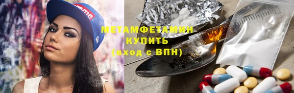 индика Нягань