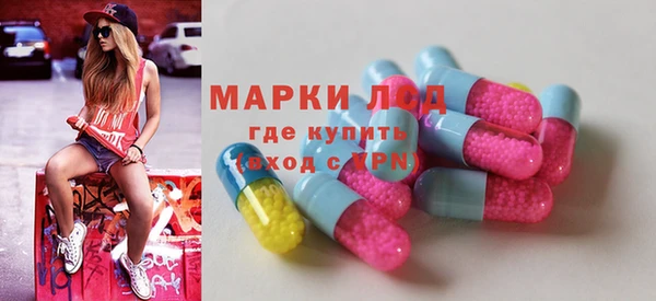 индика Нягань