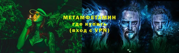 индика Нягань