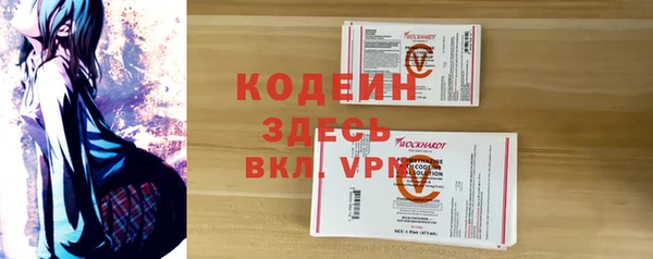 дурь Няндома