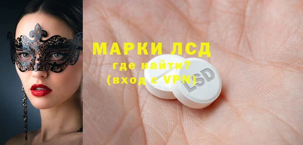 индика Нягань