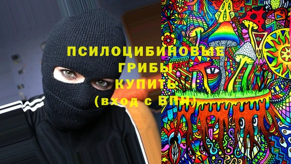 прущие грибы Нязепетровск