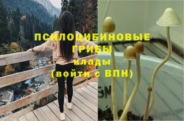 прущие грибы Нязепетровск