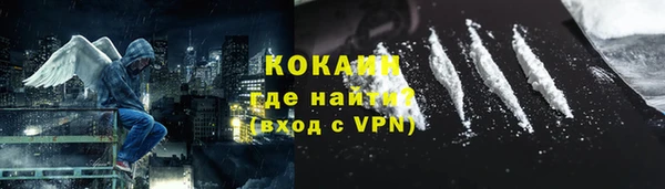 дурь Няндома