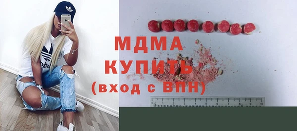 дурь Няндома