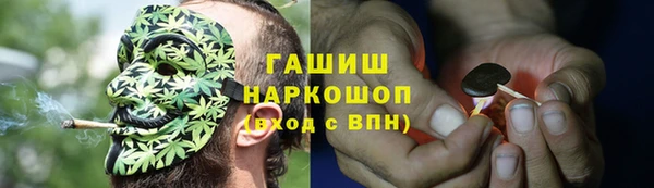 прущие грибы Нязепетровск