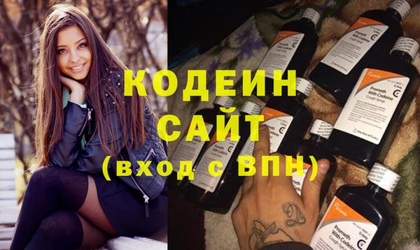 индика Нягань