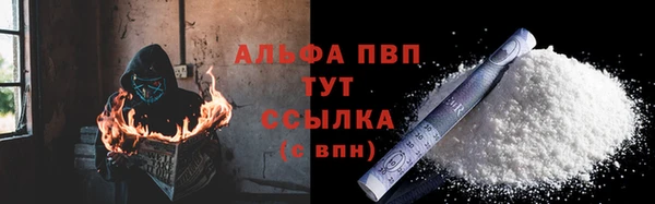 дурь Няндома