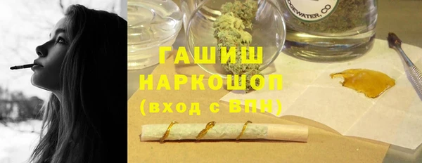 дурь Няндома