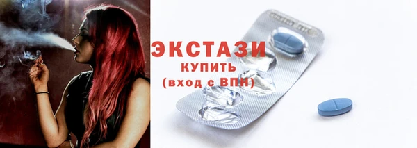 индика Нягань