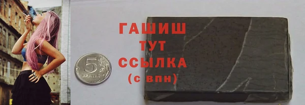 дурь Няндома