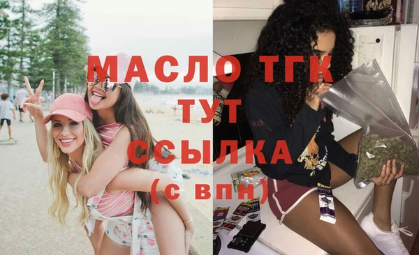 индика Нягань