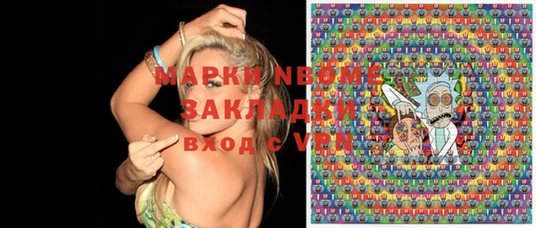 индика Нягань