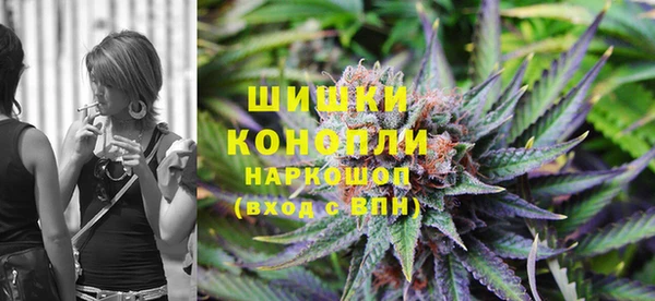 индика Нягань