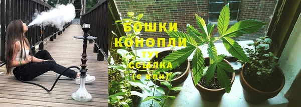 дурь Няндома