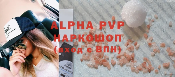 индика Нягань