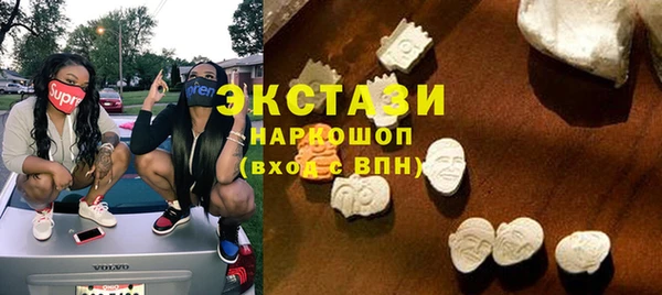 индика Нягань