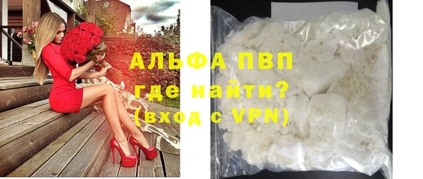 прущие грибы Нязепетровск
