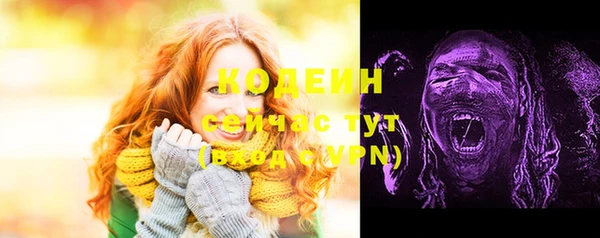 дурь Няндома