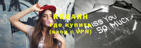 индика Нягань