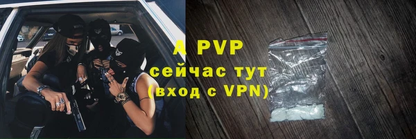 дурь Няндома