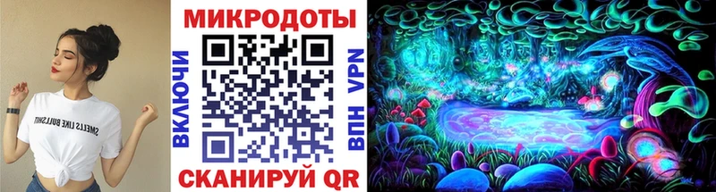 Галлюциногенные грибы Psilocybine cubensis  Игра 