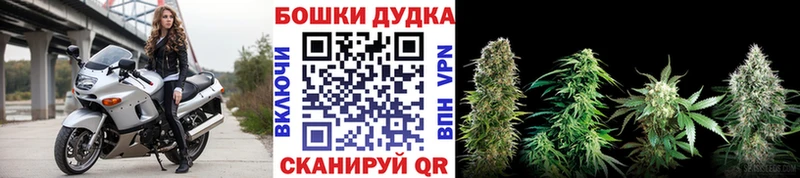 Канабис SATIVA & INDICA Игра